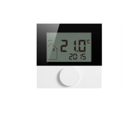 Prolux Raumbediengerät Funk D1